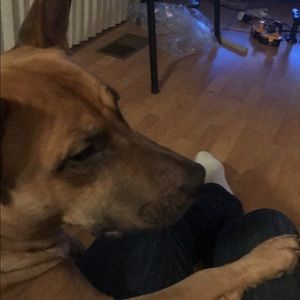 Meet your Posher, Nick